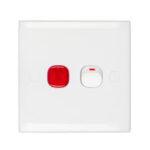 Double Pole Switch
